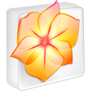 Illustrator CS2 icon